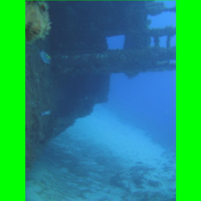 Dive WP Wrecks 25-Oct-09_264.JPG